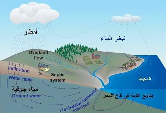 مرزمیان دریای شور و شیرین